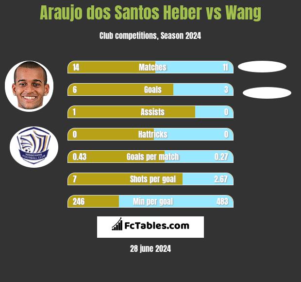 Araujo dos Santos Heber vs Wang h2h player stats