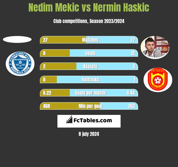 Nedim Mekic vs Nermin Haskic h2h player stats