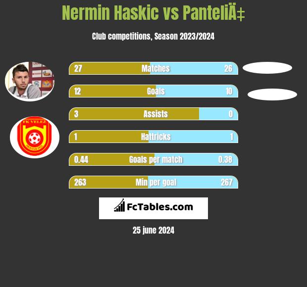 Nermin Haskic vs PanteliÄ‡ h2h player stats