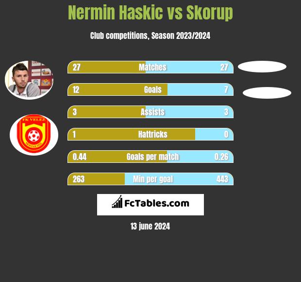 Nermin Haskic vs Skorup h2h player stats