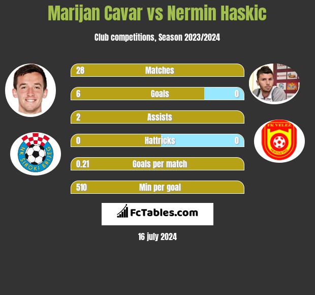 Marijan Cavar vs Nermin Haskic h2h player stats