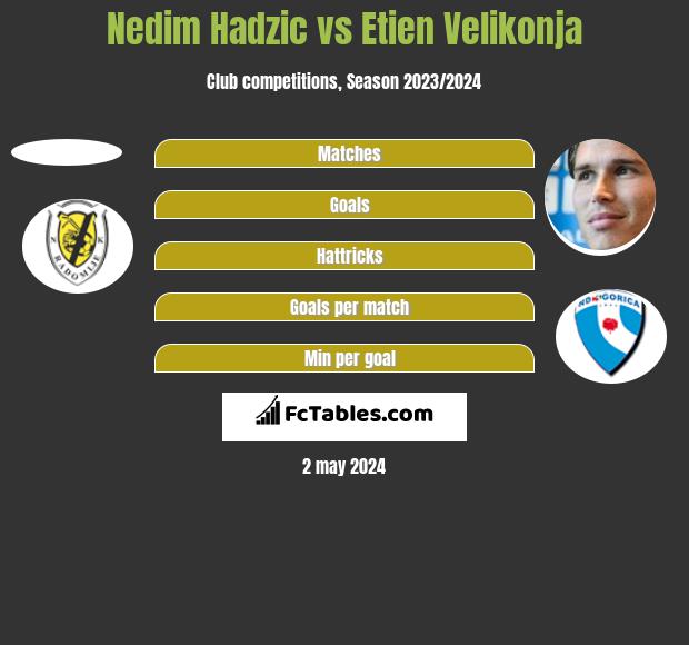 Nedim Hadzic vs Etien Velikonja h2h player stats