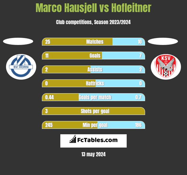 Marco Hausjell vs Hofleitner h2h player stats
