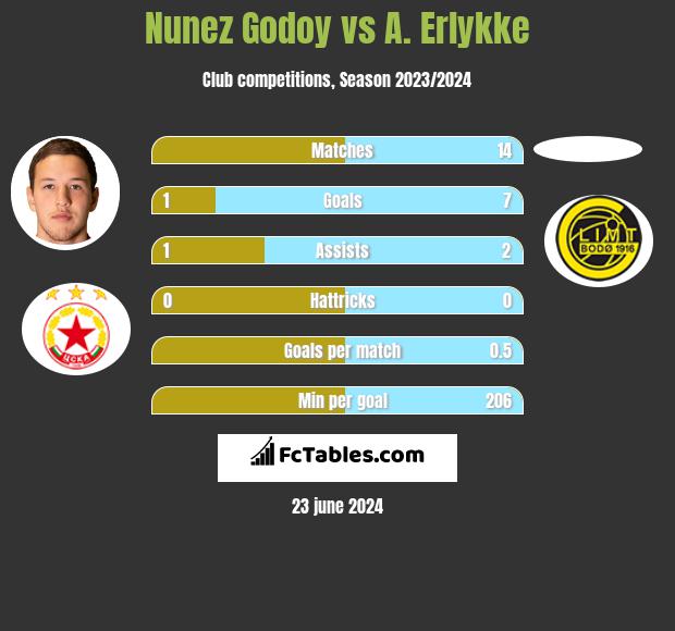 Nunez Godoy vs A. Erlykke h2h player stats