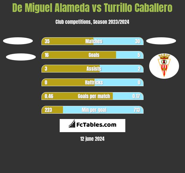 De Miguel Alameda vs Turrillo Caballero h2h player stats