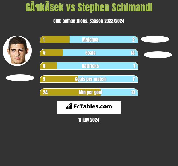 GÃ¶kÃ§ek vs Stephen Schimandl h2h player stats