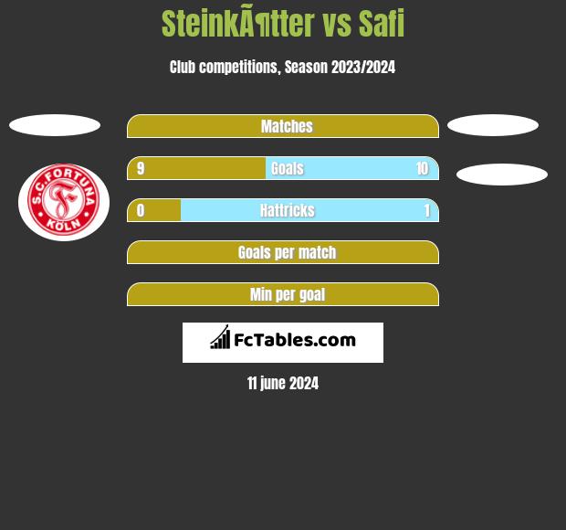 SteinkÃ¶tter vs Safi h2h player stats