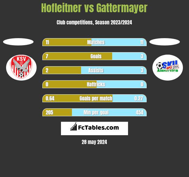 Hofleitner vs Gattermayer h2h player stats