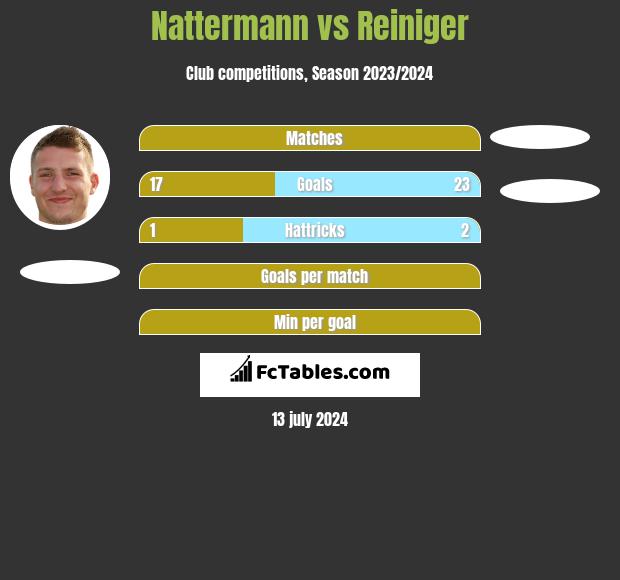 Nattermann vs Reiniger h2h player stats