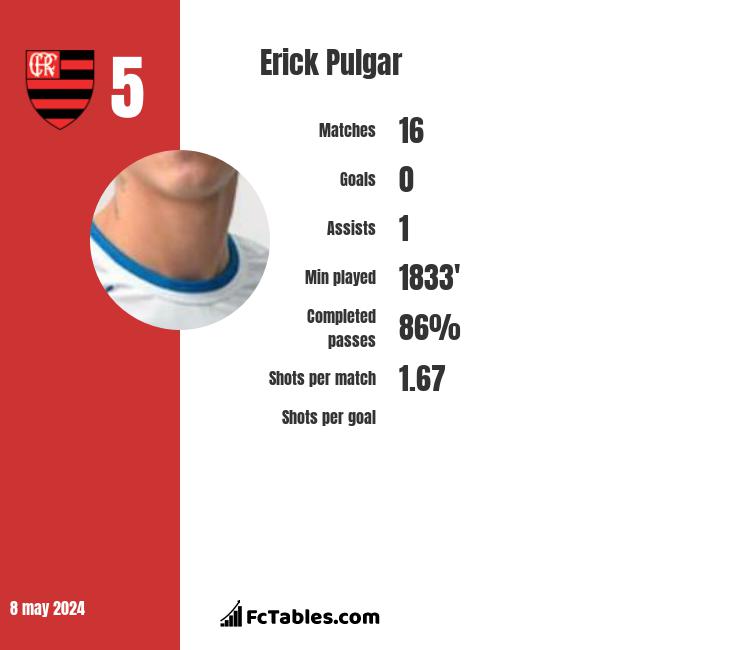 Erick Pulgar infographic