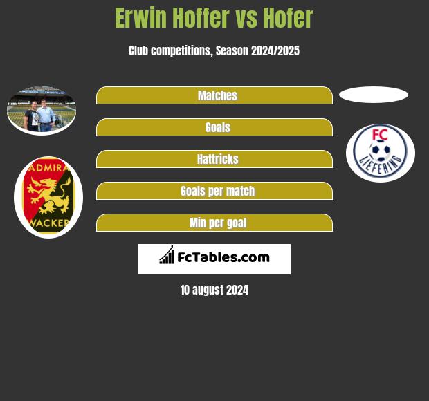 Erwin Hoffer vs Hofer h2h player stats