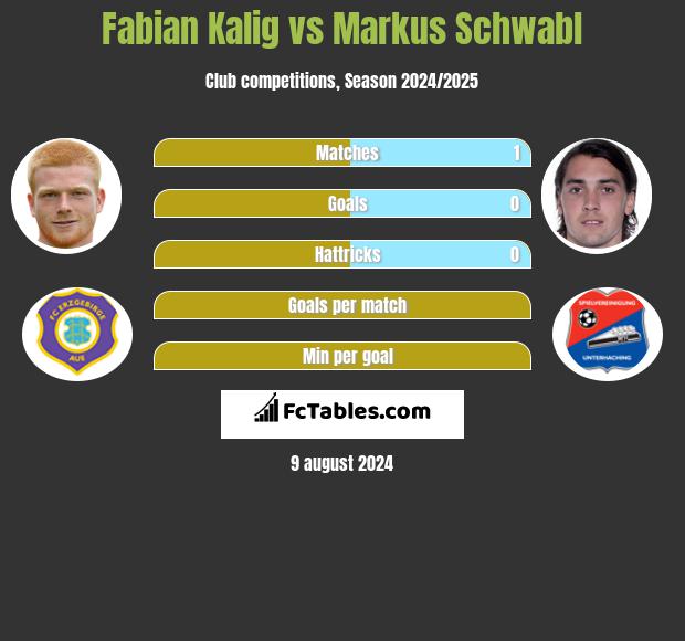 Fabian Kalig vs Markus Schwabl h2h player stats