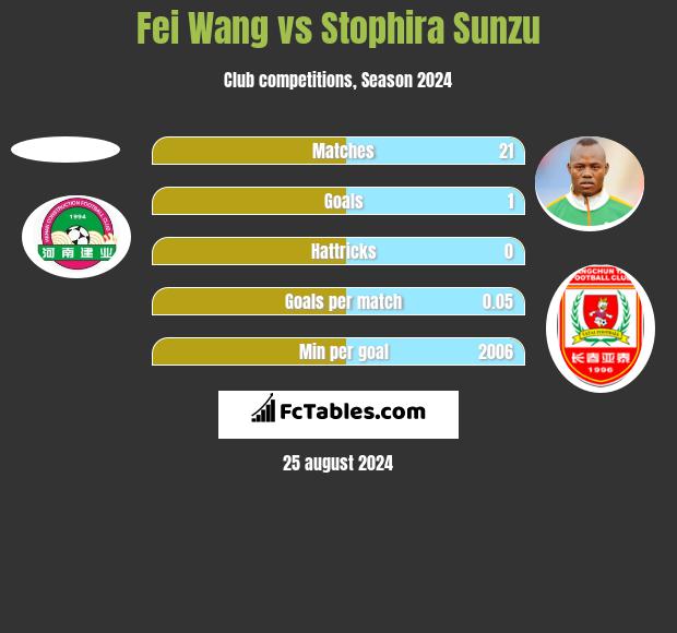 Fei Wang vs Stophira Sunzu h2h player stats