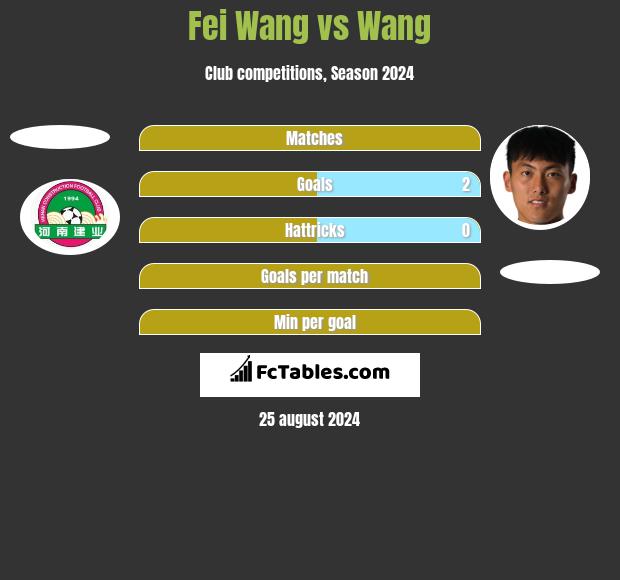 Fei Wang vs Wang h2h player stats