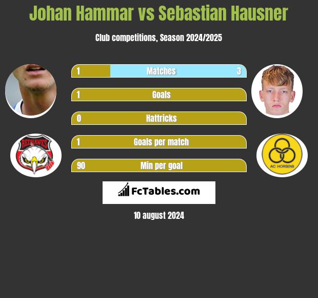 Johan Hammar vs Sebastian Hausner h2h player stats