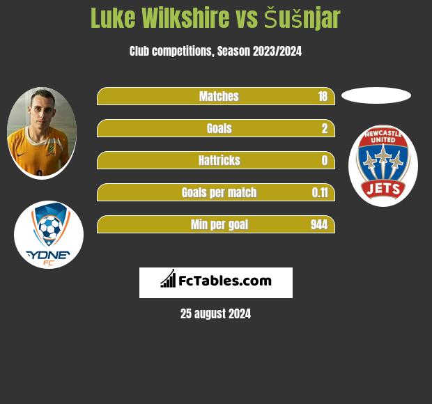 Luke Wilkshire vs Šušnjar h2h player stats