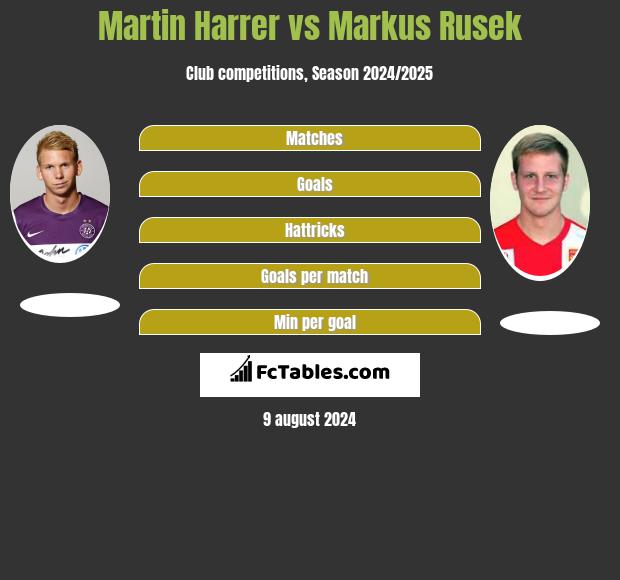 Martin Harrer vs Markus Rusek h2h player stats