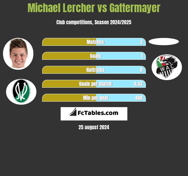 Michael Lercher vs Gattermayer h2h player stats