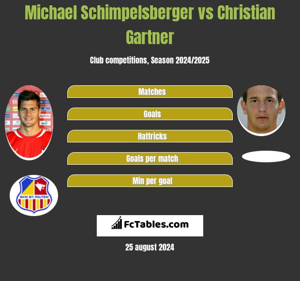 Michael Schimpelsberger vs Christian Gartner h2h player stats