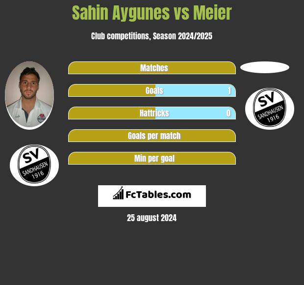 Sahin Aygunes vs Meier h2h player stats