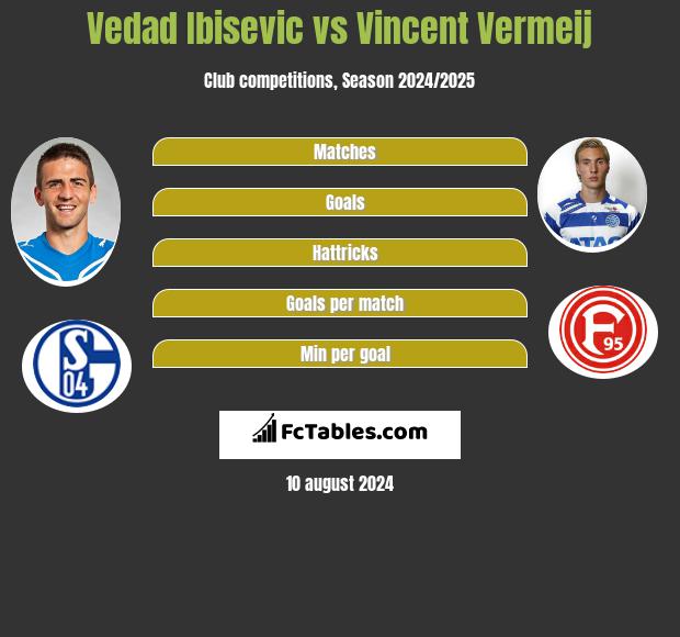 Vedad Ibisevic vs Vincent Vermeij h2h player stats