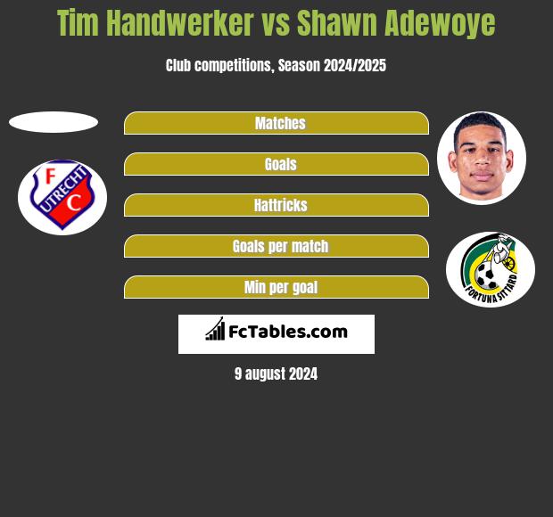 Tim Handwerker vs Shawn Adewoye h2h player stats