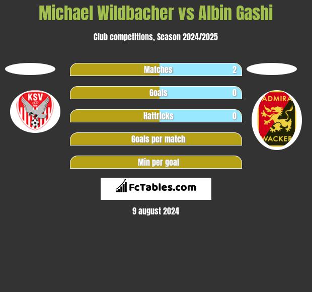 Michael Wildbacher vs Albin Gashi h2h player stats