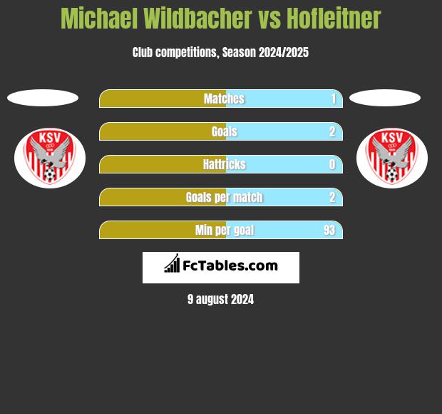 Michael Wildbacher vs Hofleitner h2h player stats